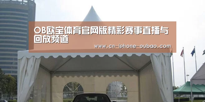 案例标题八