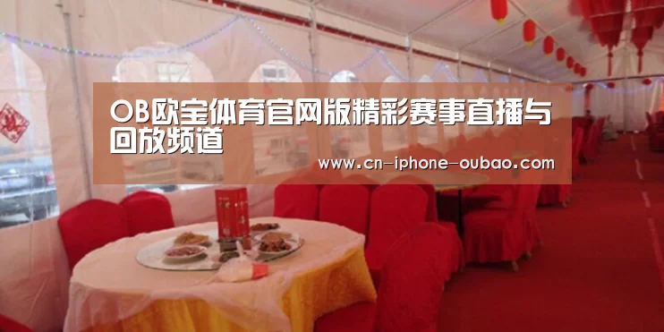 案例标题二