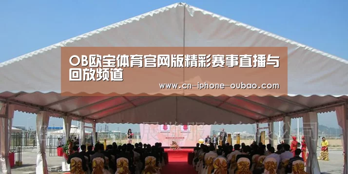 案例标题三