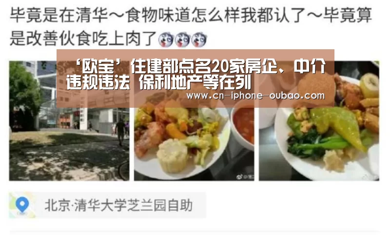 ‘欧宝’住建部点名20家房企、中介违规违法 保利地产等在列(图1) OB真人