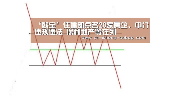 ‘欧宝’住建部点名20家房企、中介违规违法 保利地产等在列(图3) 欧宝体育官网