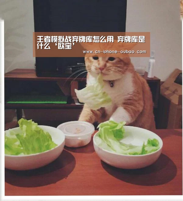 欧宝体育官网