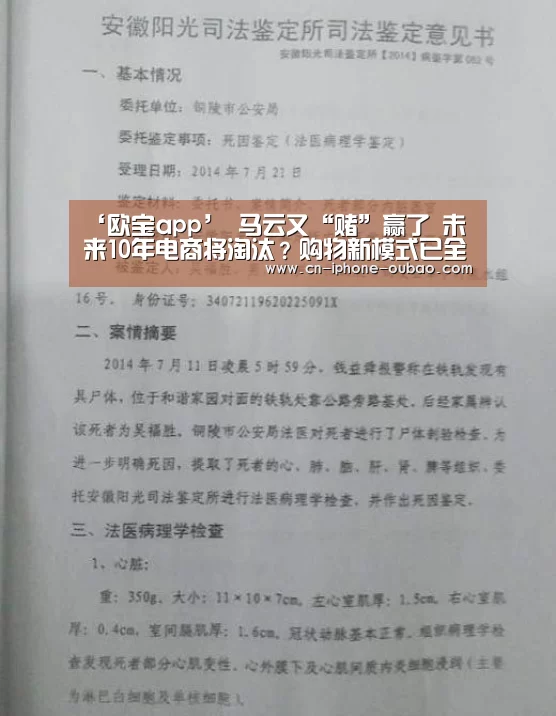 ‘欧宝app’
马云又“赌”赢了 未来10年电商将淘汰?购物新模式已全国兴起(图3) 欧宝