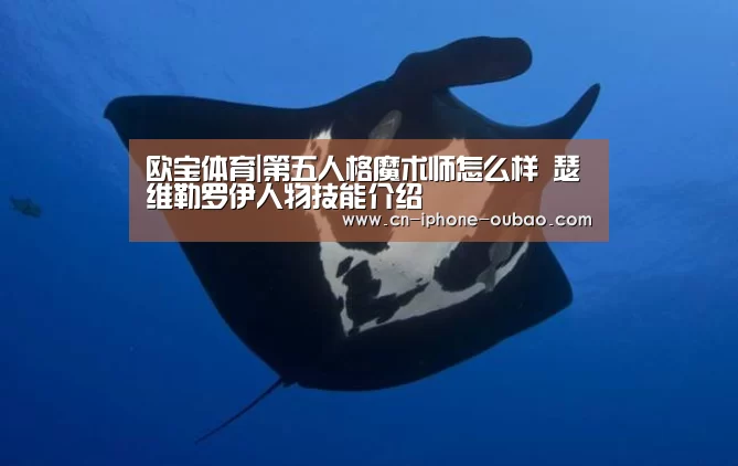 欧宝体育官网