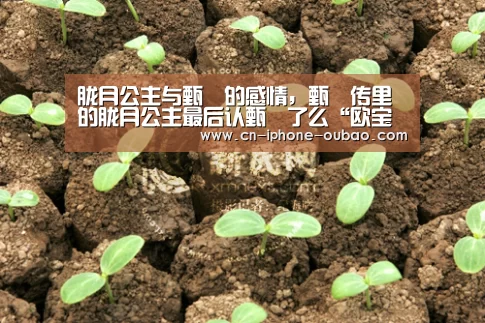 欧宝体育