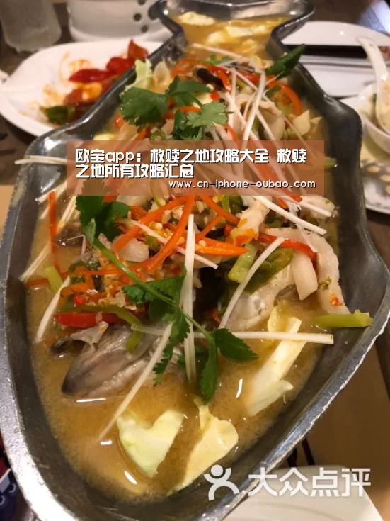 欧宝app:救赎之地攻略大全 救赎之地所有攻略汇总